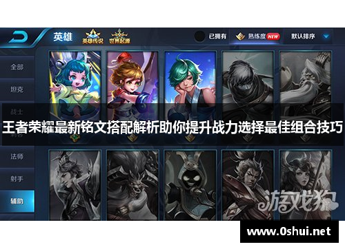 王者荣耀最新铭文搭配解析助你提升战力选择最佳组合技巧